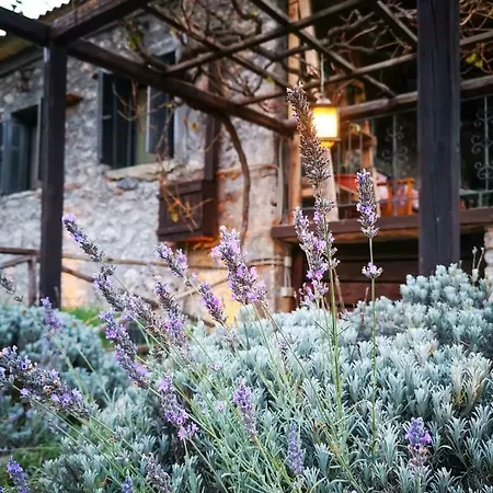 Green's House Poliani
