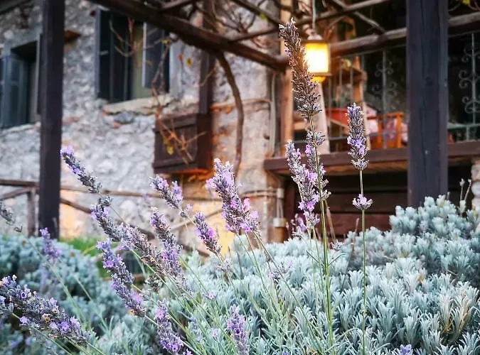 Green's House Poliani